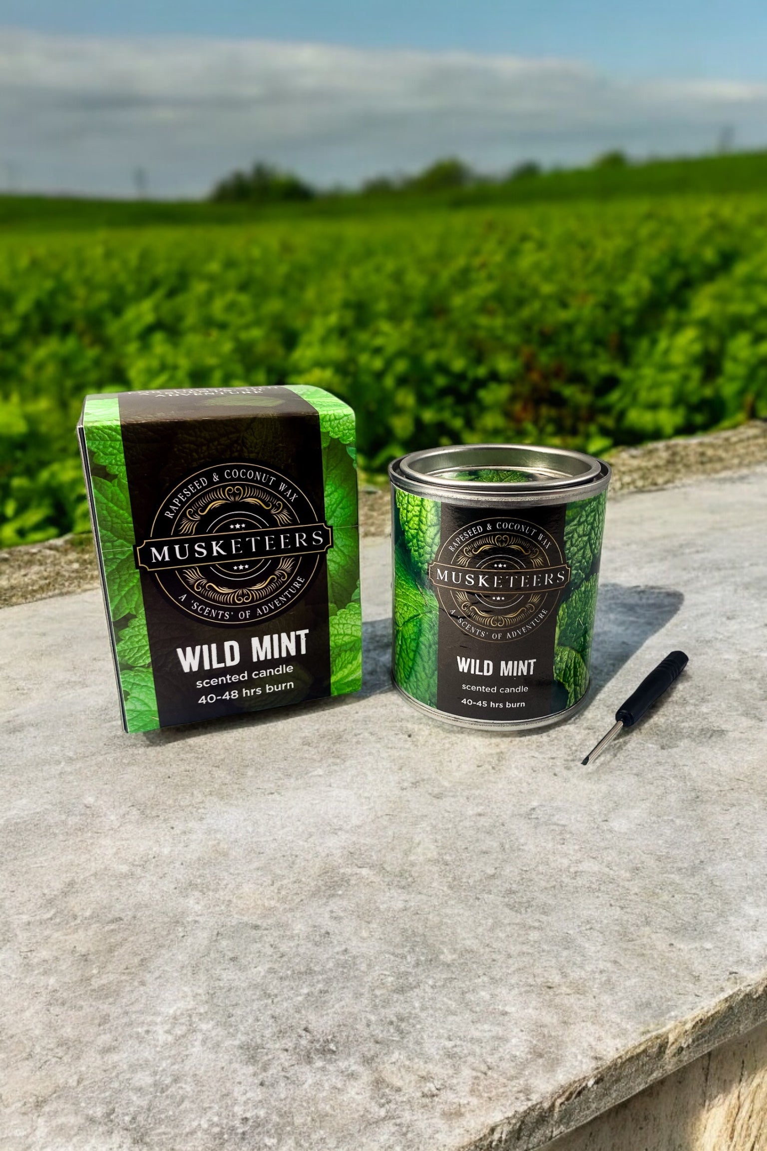 Wild Mint - Mint Scented Candle (Wholesale)